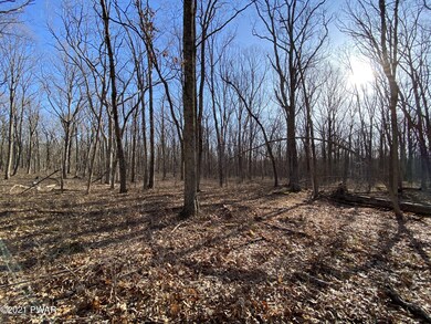 Lot 104 Mountain Top Rd, Lackawaxen Township, PA 18435 - photo 2