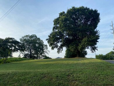 00 Sycamore St, Florence, AL 35630 - photo 2