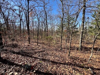 Tbd unit LotWP001, Natural Dam, AR 72948 - photo 7