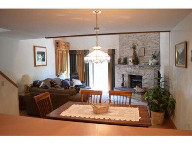14 Snow Tree Ln unit G, West Dover, VT 05356 - photo 3