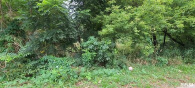 0 Christie unit QC4225107, Davenport, IA 52803 - photo 2