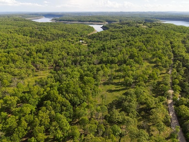 000 Barton Rd, Cedar Creek Township, MO 65627 - photo 3