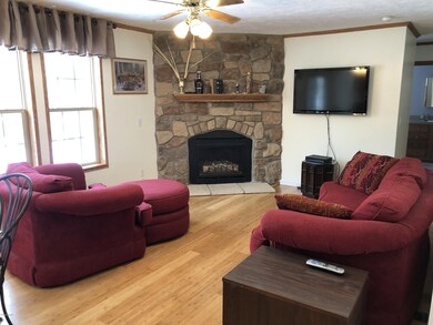 Gas fireplace in Family room