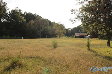 16 Old 431 Hwy, Owens Cross Roads, AL 35763 - photo 3