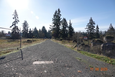 8416 State Route 702 S, Roy, WA 98580 - photo 7