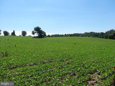 5 Meadow View Ln, Rixeyville, VA 22737 - photo 3