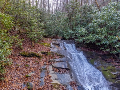 2001 Little Ellijay Rd, Franklin, NC 28734 - photo 3