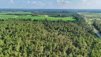 0 Rhonda Coleman Rd, Hazlehurst, GA 31539 - photo 3