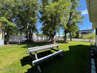 Rear Yard