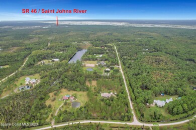 St Johns river