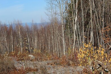 89 W View Ln, Bridgton, ME 04009 - photo 7