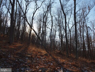 0 Reeds Creek Rd unit 1005560781, Franklin, WV 26807 - photo 4