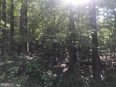 0 Moreland Gap Rd unit 1002350444, New Market, VA 22844 - photo 2