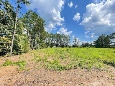 0 Tbd Barfield Rd unit LotWP004 21520544, Nichols, SC 29581 - photo 6