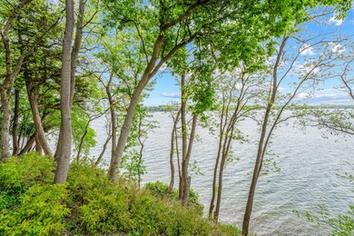 Lakeside Views