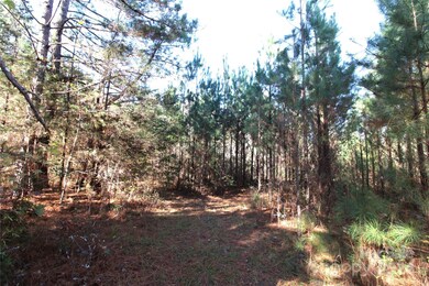 7+/- AC LOT 3 Hartness Rd, Clover, SC 29710 - photo 6