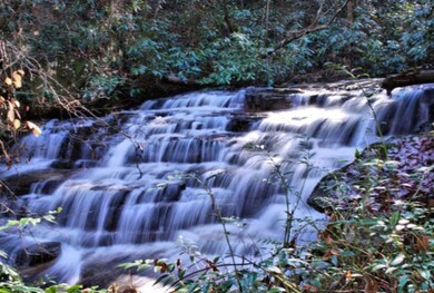 lowry-falls-1