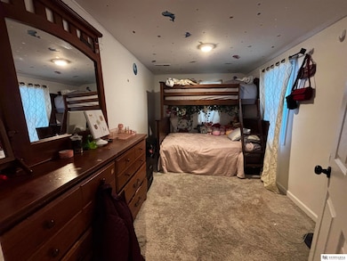 7343 Lake St, Omaha, NE 68134 - photo 7