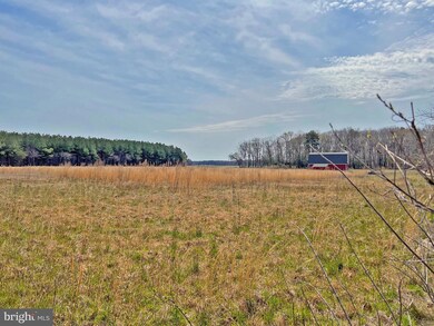 Lot #4 Avalon & Lawson Rd, Georgetown, DE 19947 - photo 4