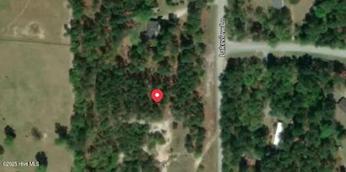 350 Lakeview Ln, Cameron, NC 28326 - photo 2