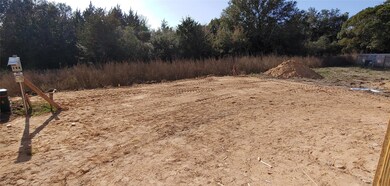 1732 Yaupon Trail Ct, Alvin, TX 77511 - photo 4