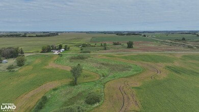 0 SW Corner 330th St 830th Ave, Ellendale, MN 56026 - photo 4