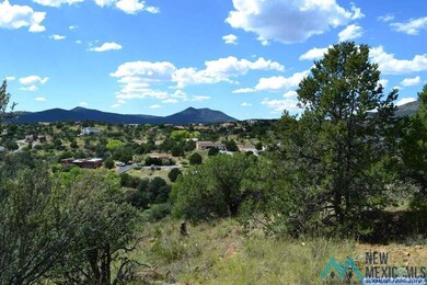 4528 N Shadow Mountain Rd, Silver City, NM 88061 - photo 3