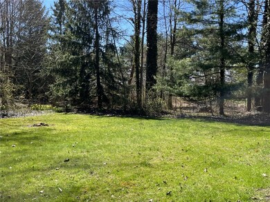 secluded yard