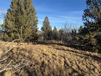 84 Pine Ridge Rd, Fairplay, CO 80440 - photo 5