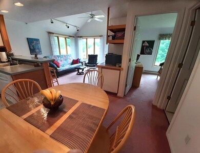 16 Bear Chase Rd unit 6, Thornton, NH 03285 - photo 6