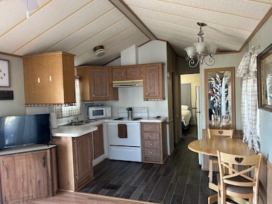 37811 Chancey Rd unit 195, Zephyrhills, FL 33541 - photo 6