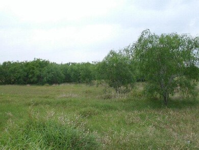 0 Mile 13 N, Progreso Lakes, TX 78596 - photo 4