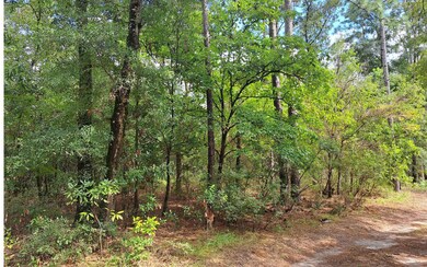 TBD 29th Place, Branford, FL 32008 - photo 2