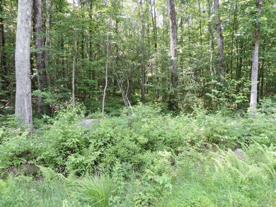 Lot #75 Blue Heron Way, Hawley, PA 18428 - photo 6