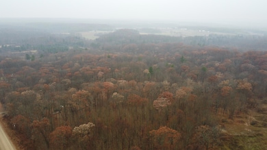 0 V L 40 Acres 160th Ave unit 25059904, Big Rapids, MI 49307 - photo 4