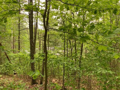 Lot 8 Somo Ridge Dr, Tomahawk, WI 54487 - photo 5