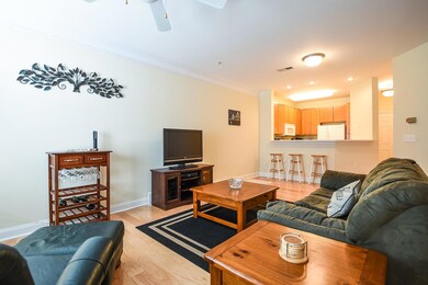 Living Room and Kitchen