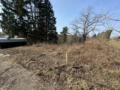 203 Morristown Flushing Rd, Flushing, OH 43977 - photo 5