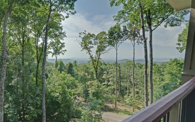 Additional View