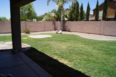 2303 E Torrey Pines - backyard 1