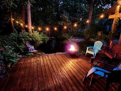 Backyard2