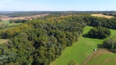 29 AC Legler Rd, Brooklyn, WI 53521 - photo 4