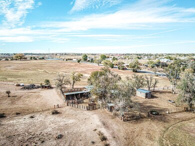 DJI_0425