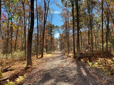 0 Tunnel Rd, Milford, PA 18337 - photo 4