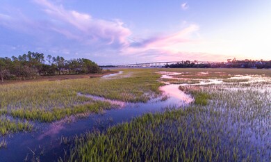 Captains Island Photos (4)