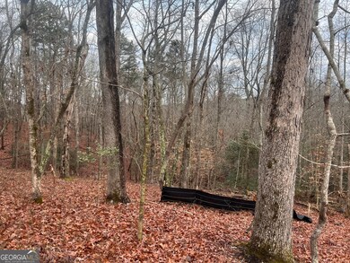 329 Twisting Ridge Trail, Demorest, GA 30535 - photo 5