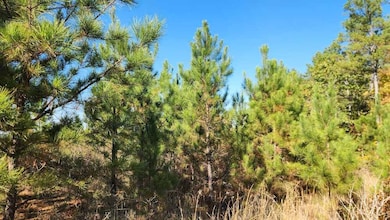 Dyerock Rd, Donaldson, AR 72104 - photo 3