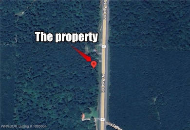 TBD Highway 167, Other Ar, AR 71744 - photo 3