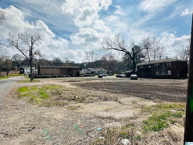 2220 21st Ave N, Birmingham, AL 35234 - photo 3