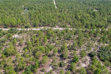 TBD SW Nautilus Blvd, Dunnellon, FL 34431 - photo 5